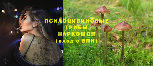 прущие крисы Алексин