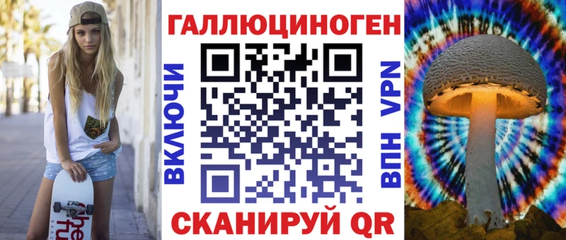 Галлюциногенные грибы Psilocybe Чишмы
