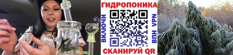 дарк нет наркотические препараты  Чишмы  Каннабис гибрид 